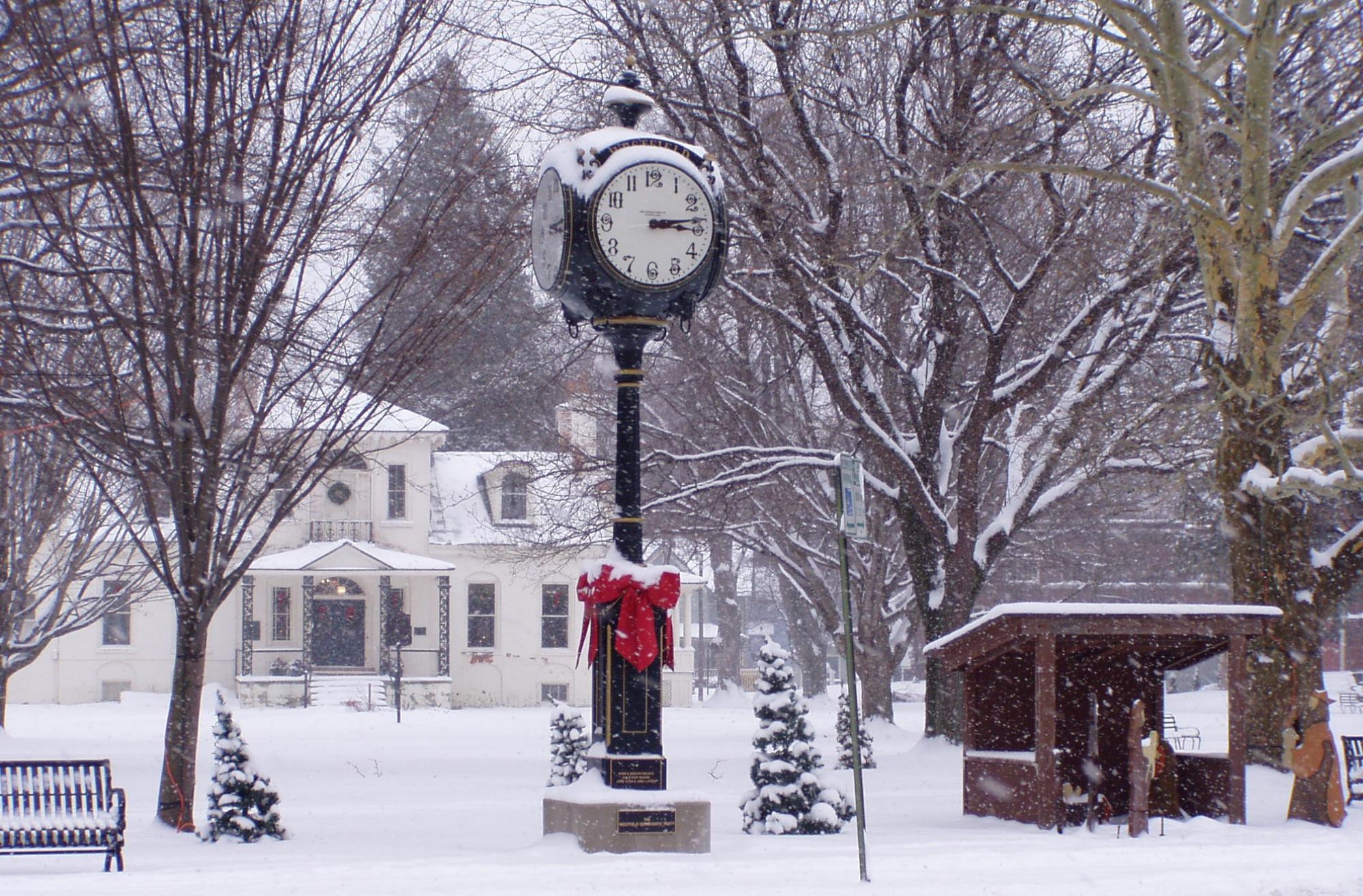 Christmas in the Village