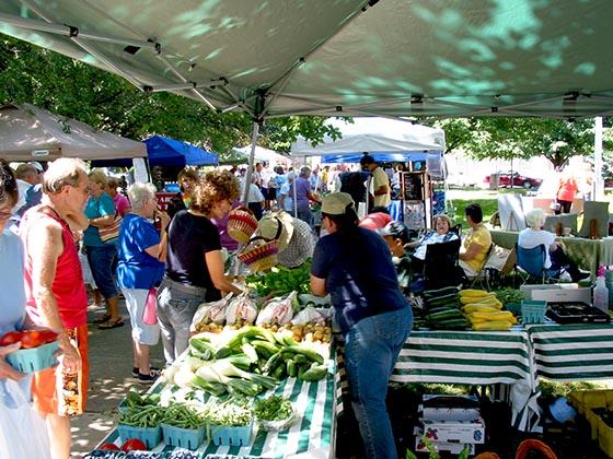 Beautiful day at the Westfield NY Farmers's Market