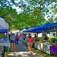 Sunny Day at the Westfield NY Farmers Market