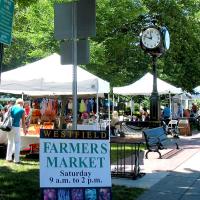 Westfield NY Farmers Market in Moore Park every Saturday