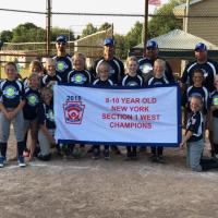 2018 Little League State Tournament Team